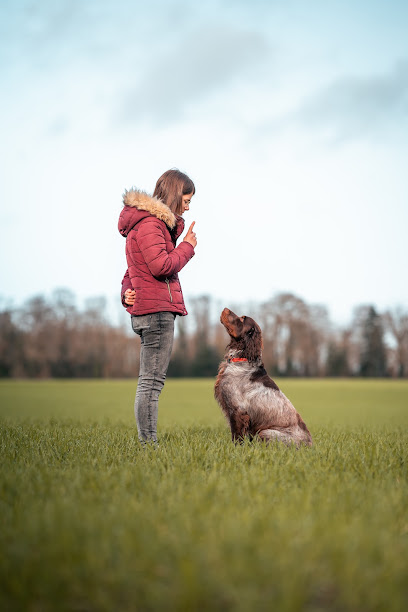 Betty Sancet - Educateur Canin | Comportementaliste Chien&Chat | Communication Animale, Dresseur De Chiens à Lamballe-Armor