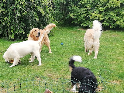 le Trésor des Marais, Eleveur de Chiens à Montsenelle