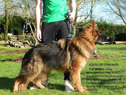 Elevage du Parcaou Côtes-d'Armor, chien de race Berger Allemands sélectionnés L.O.F, Eleveur de Chiens à Corlay