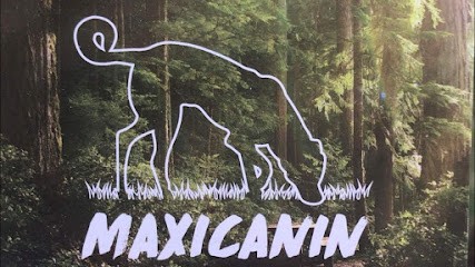 Maxicanin Educateur Canin, Dresseur de Chiens à Perdreauville