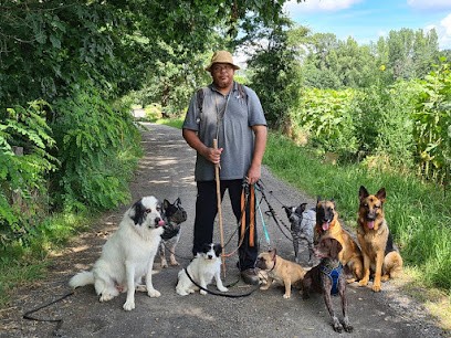 Francis Nicolas. Seuls Les Chiens Bien éduqués Sont Aimés Du Public, Dresseur de Chiens à Lempdes-sur-Allagnon