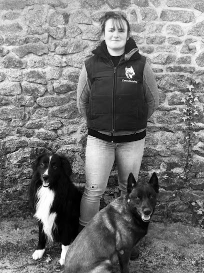 Canis Disciplina, éducation Et Comportementalisme Canin, Dresseur de Chiens à Saint-Berthevin-la-Tannière