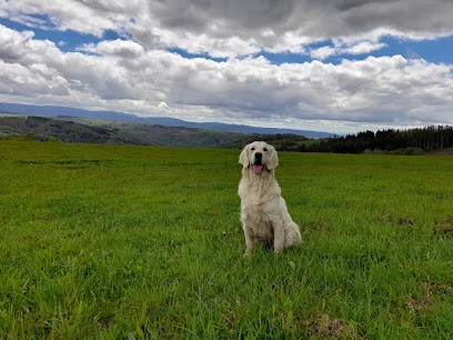 Elevage du Hameau de Jora, Eleveur de Chiens au Val-d'Ajol