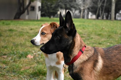 Canid'Ethika, Dresseur de Chiens à Montpellier