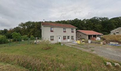 Elevage de Beagles du Hêtre au Loup, Eleveur de Chiens à Hémilly