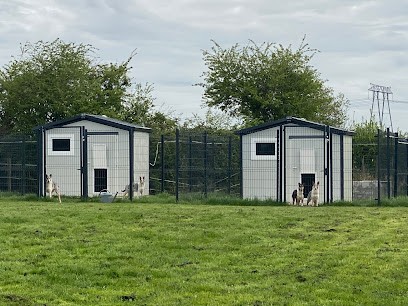 Pension Happy Holidays, Pension pour Chiens à Volckerinckhove