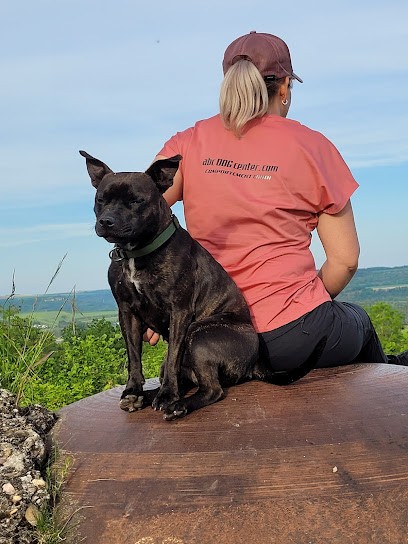 abc DOG center comportement canin, Dresseur de Chiens à Yutz