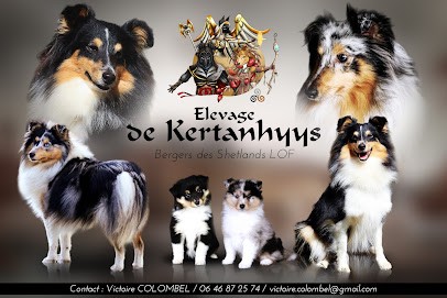 Elevage de Kertanhyys, Eleveur de Chiens à Monesple