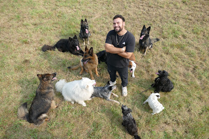 Nicolas Legrand : Éducateur Canin Comportementaliste Dresseur De Chiens à Égriselles-le-Bocage