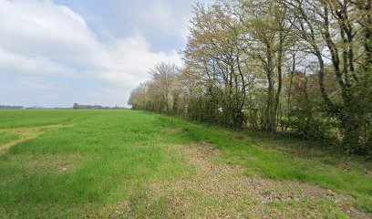 Quat Pat Hotel, Pension pour Chiens à Miermaigne