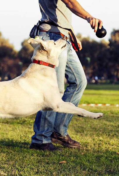 Gaschot Pension Familiale, Pension pour Chiens à Seillans