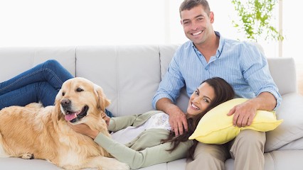 Passion Canine - Les 3s, Pension pour Chiens au Mesnil-Aubry