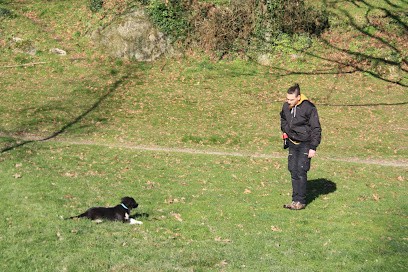 De Rebelles à Fidèles, Educateur canin et garde à domicile, Dresseur de Chiens à Saint-Malô-du-Bois