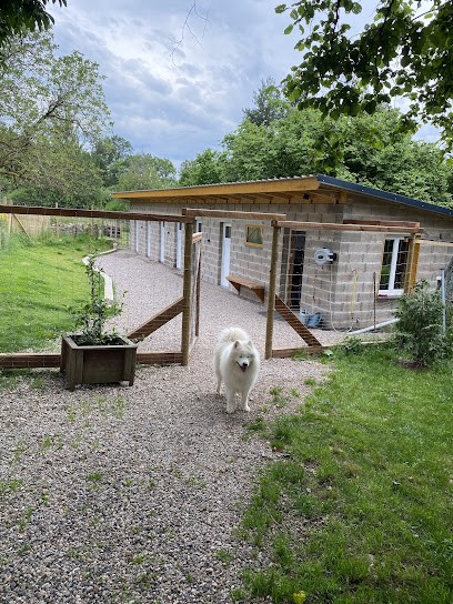 Pas à Pattes, Pension pour Chiens à Étival-Clairefontaine