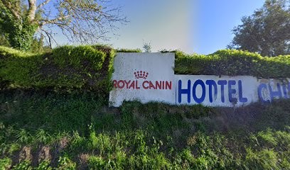 Elevage De Rouge-Sang, Eleveur de Chiens à Marconne