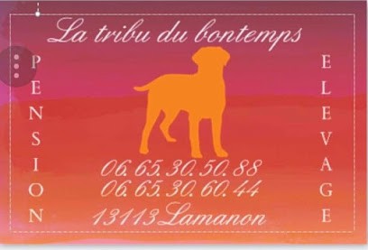 La tribu du bontemps pension élevage canin, Pension pour Chiens à Lamanon