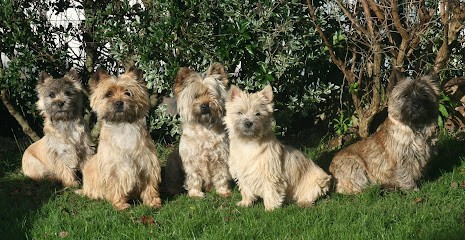 Domaine de Kerallan, Eleveur de Chiens à Plounéour-Ménez