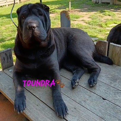 Les Terres Ancestrales, Eleveur de Chiens à Limoges