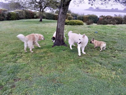 BULL'S II GUM: Pension Familiale Pour Chiens, Pension pour Chiens à Belz