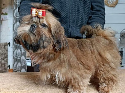 Colombel Vanessa, Eleveur de Chiens à Herly