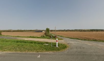 Elevage Des Gardiens De La Cigogne, Eleveur de Chiens à Ternant