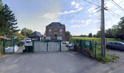 Elevage Aulne Sacré, Eleveur de Chiens à Millonfosse