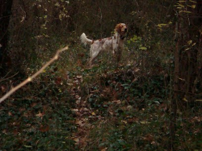 Domaine de l'Orbaf, Eleveur de Chiens à Salazac