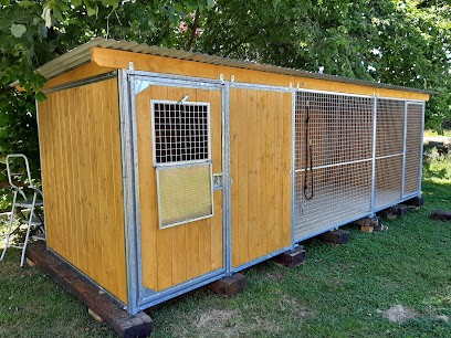 Educanest ,pension , Education ,comportementaliste Canin, Dresseur de Chiens à Moyenmoutier