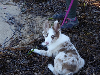 Earl Haras de christol, Eleveur de Chiens à Graulhet