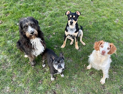 Calie Et Compagnie - Pension Canine, Pension Pour Chien à Valençay