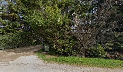 Des Gardiens de Cendrillon Sénas, Pension pour Chiens à Sénas