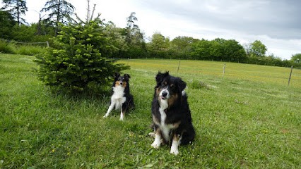au pays des toutous 32, Pension pour Chiens à Cadeilhan