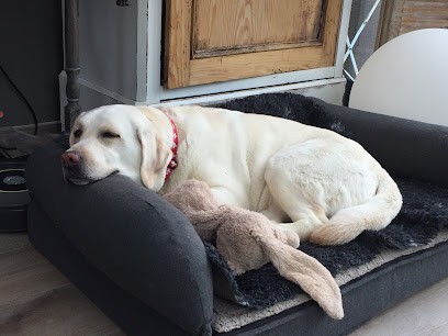 Du Labramour D'othys, Eleveur de Chiens à Lassigny