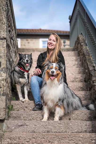 Média' Pattes, Dresseur De Chiens à Chazelles-sur-Lyon