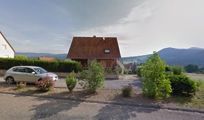 Des Chiens Et Des Mots, Dresseur de Chiens à Neubois