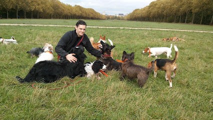 Gwen DRONKA - Educateur canin 91, Dresseur de Chiens à Limours