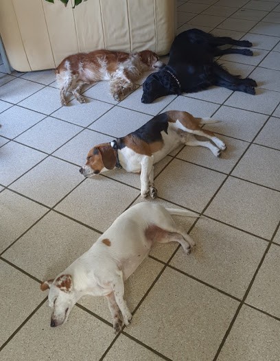 Une Nounou Pour Mon Chien, Pension pour Chiens à Crépey