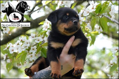 Élevage Des Gardiens De Sauron, Eleveur de Chiens à Neufvillage