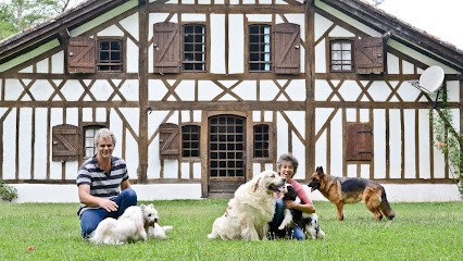 Domaine Pinsolle, Eleveur de Chiens à Rivière-Saas-et-Gourby