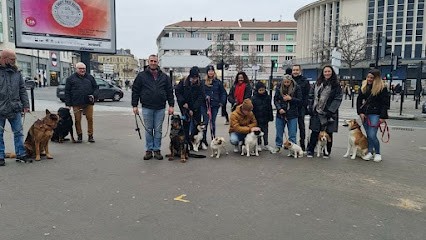 Le Bon Chien-Éduc, Dresseur de Chiens à Montivilliers