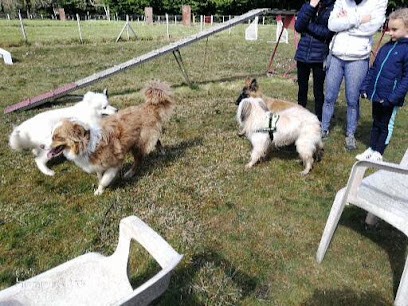 Canipro 22, Dresseur de Chiens à Pleumeur-Gautier
