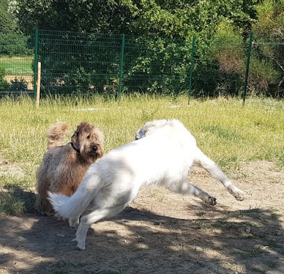 Gite Canin La Freydière, Pension pour Chiens à La Bégude-de-Mazenc
