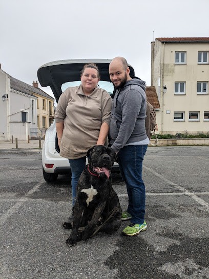 Educa.loire, Dresseur de Chiens à Saint-Père-en-Retz