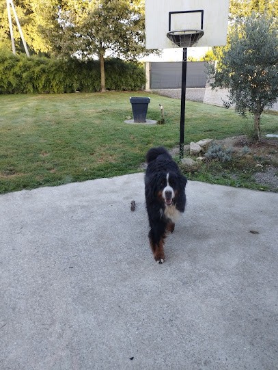 Gardienne des p'tits anges 44, Pension pour Chiens à Notre-Dame-des-Landes