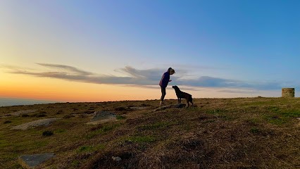 Élevage labradors of Evergreen Oak, Eleveur de Chiens à Saint-Sériès