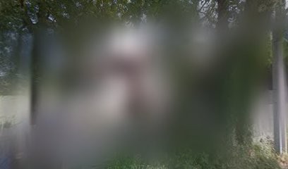 Elevage Du Domaine De Khéops, Eleveur de Chiens à Mottier