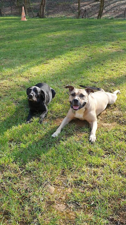 Club Canin Rosselange, Dresseur de Chiens à Rosselange