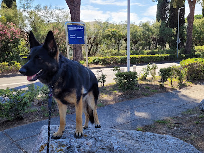 Instinct Leadership 34 Éducateur Comportementaliste Canin Dresseur De Chiens à la Grande-Motte