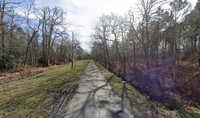 Le Domaine De Sitare, Eleveur de Chiens à Lesparre-Médoc