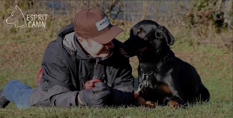 Esprit Canin, Dresseur de Chiens à Saint-Étienne-du-Rouvray
